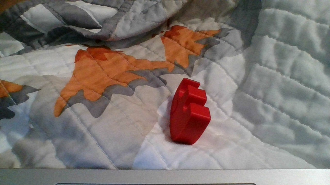 Elephant Beer Can Opener